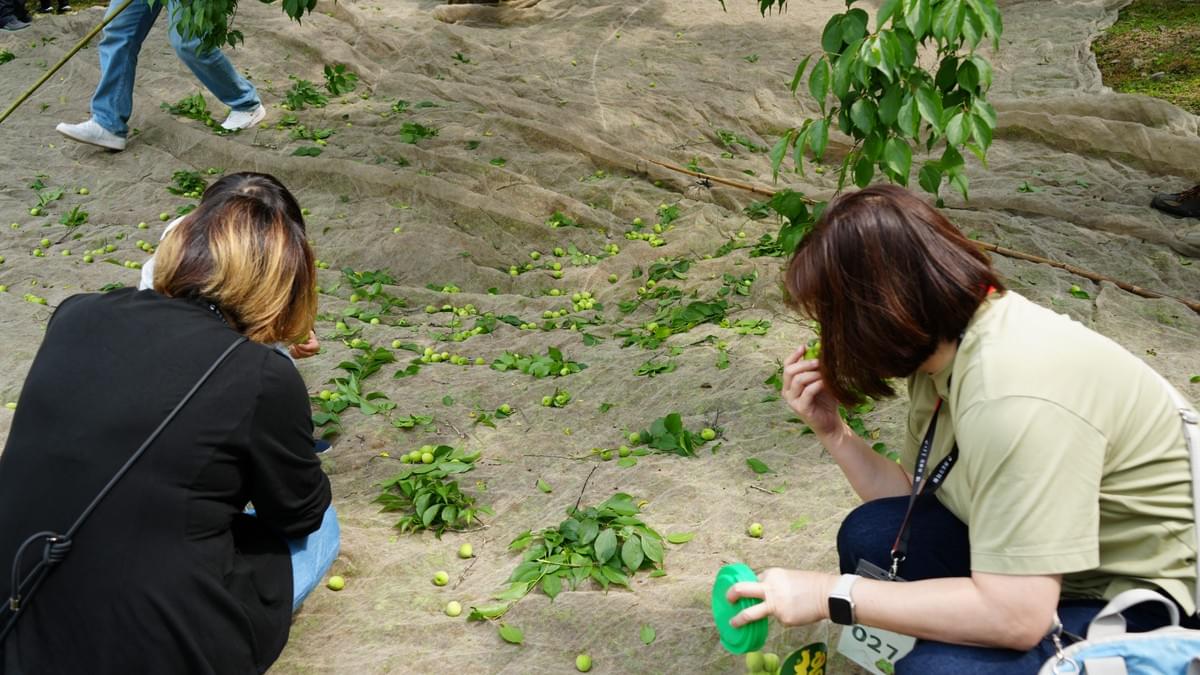 Explore our dining reservation and venue rental services! National surname farmers association cultural and creative park welcomes you Dining reservation rental venue