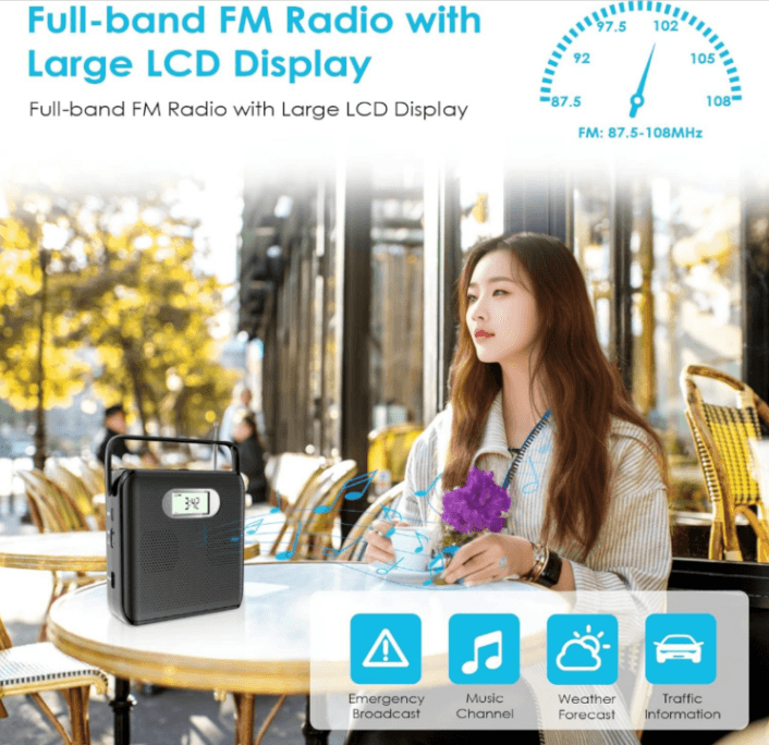 Portable CD Player, Bluetooth CD Player with Speakers Handle Design, CD Boombox for Home FM Radio CD