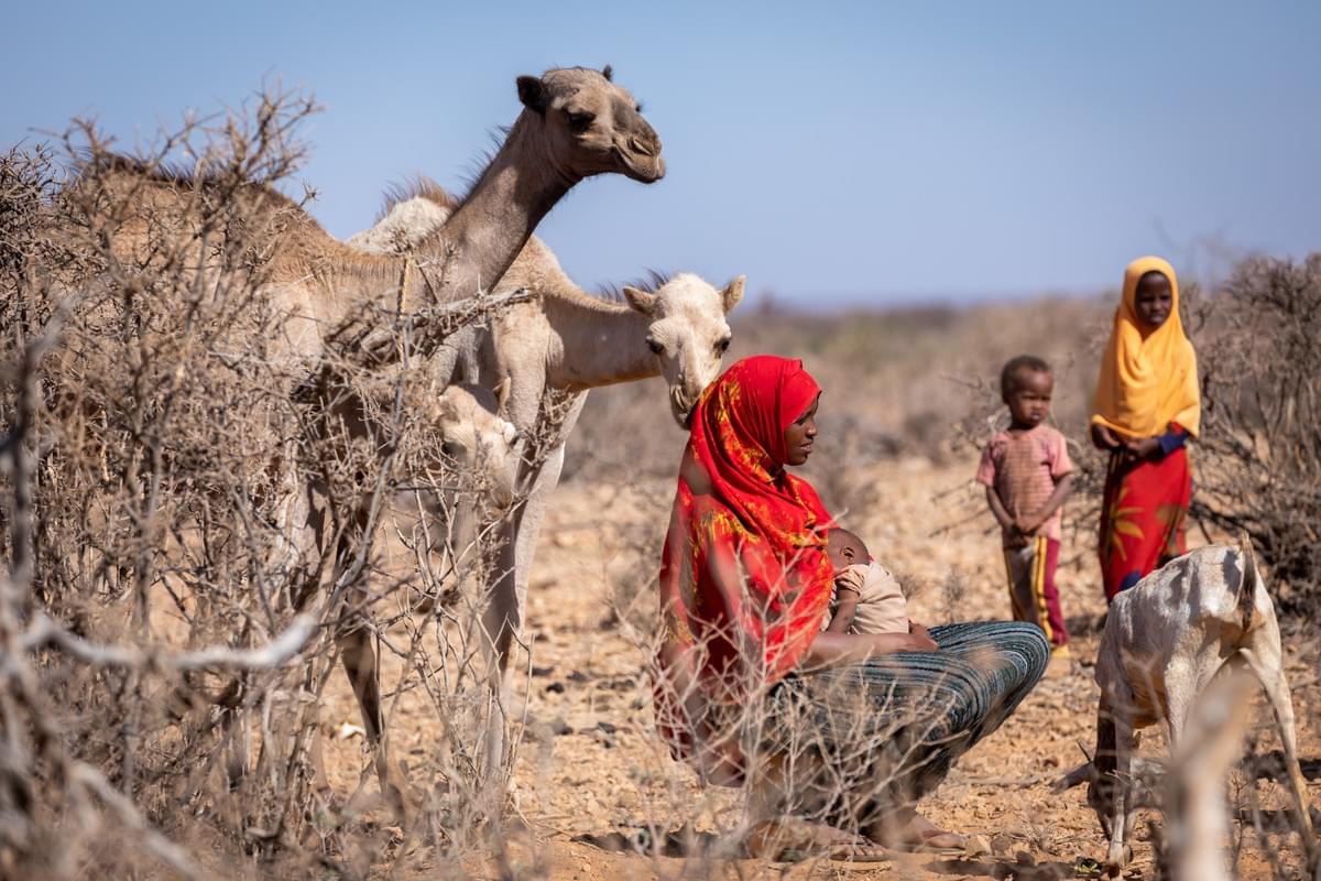  Photo Credit: © UNICEF/UN0639634/Ayene