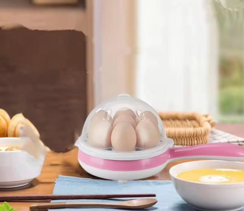 Mini Electric Frying Pan