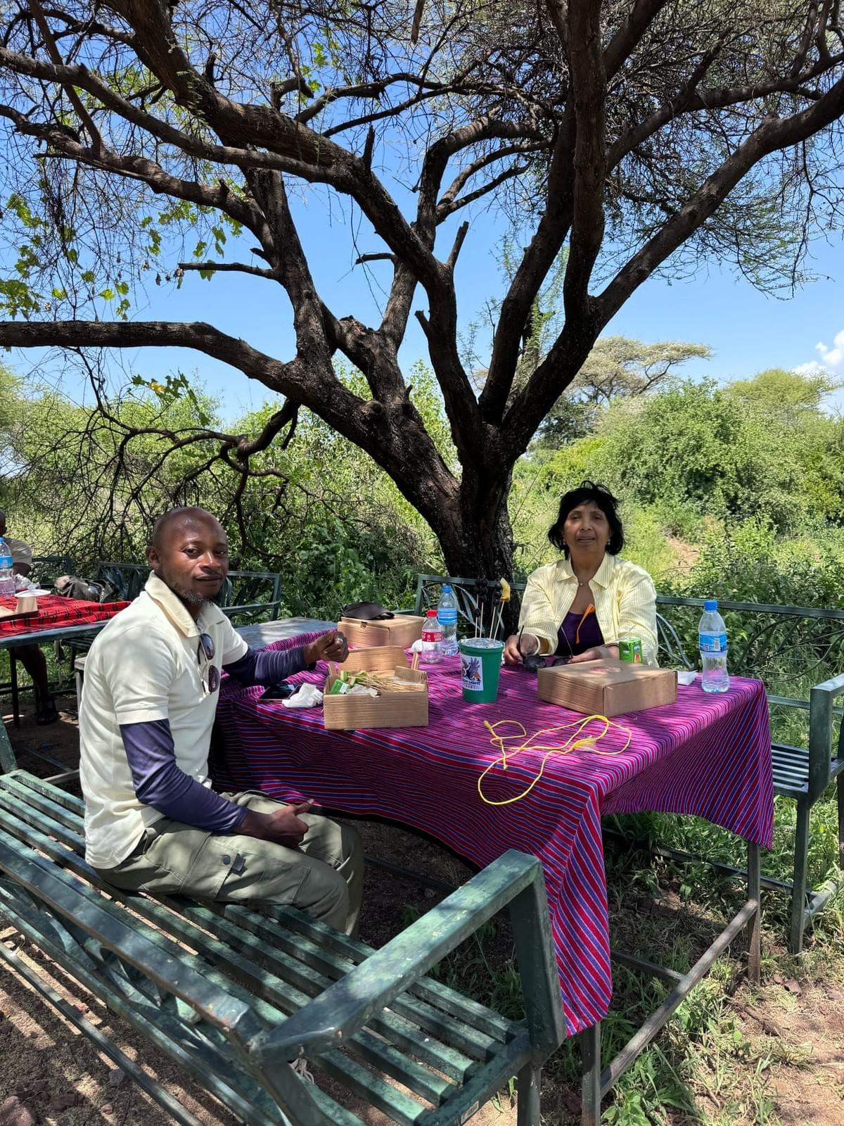 Experience the thrill of seeing Africa's majestic wildlife up close with our guided safari tours, tailored for all levels of adventure seekers. Safari Adventures Our Offerings African Elephant Tours and Safaris is an African safari offering a full service for safaris and Mountain climbing expeditions, and beach holidays throughout Africa