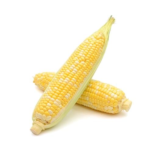 Jagung Hokkaido