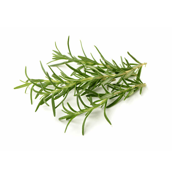 Rosemary