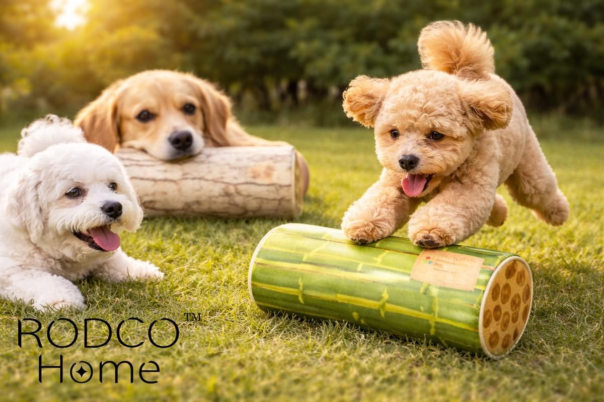 RODCO 樟樹筆袋/寵物玩具/滑鼠墊 