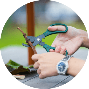 センダイヤタイエリア