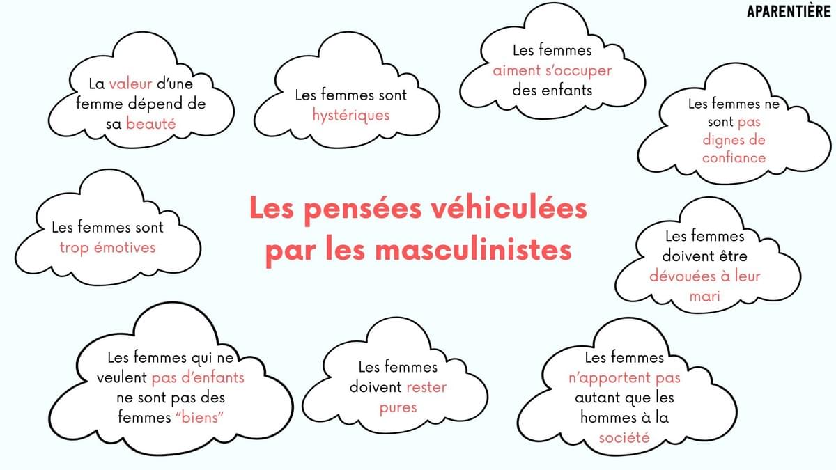 Les idées véhiculées par les masculinistes
