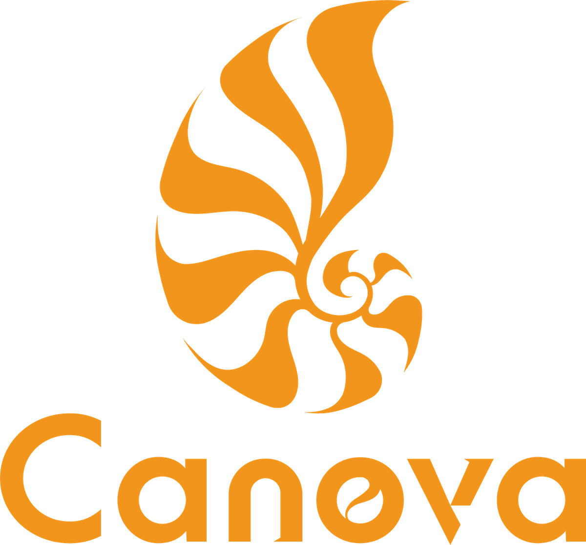 New Canova Logo Launch Latest News New Canova Logo Launch Latest News