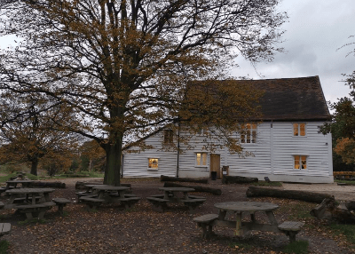 Section image