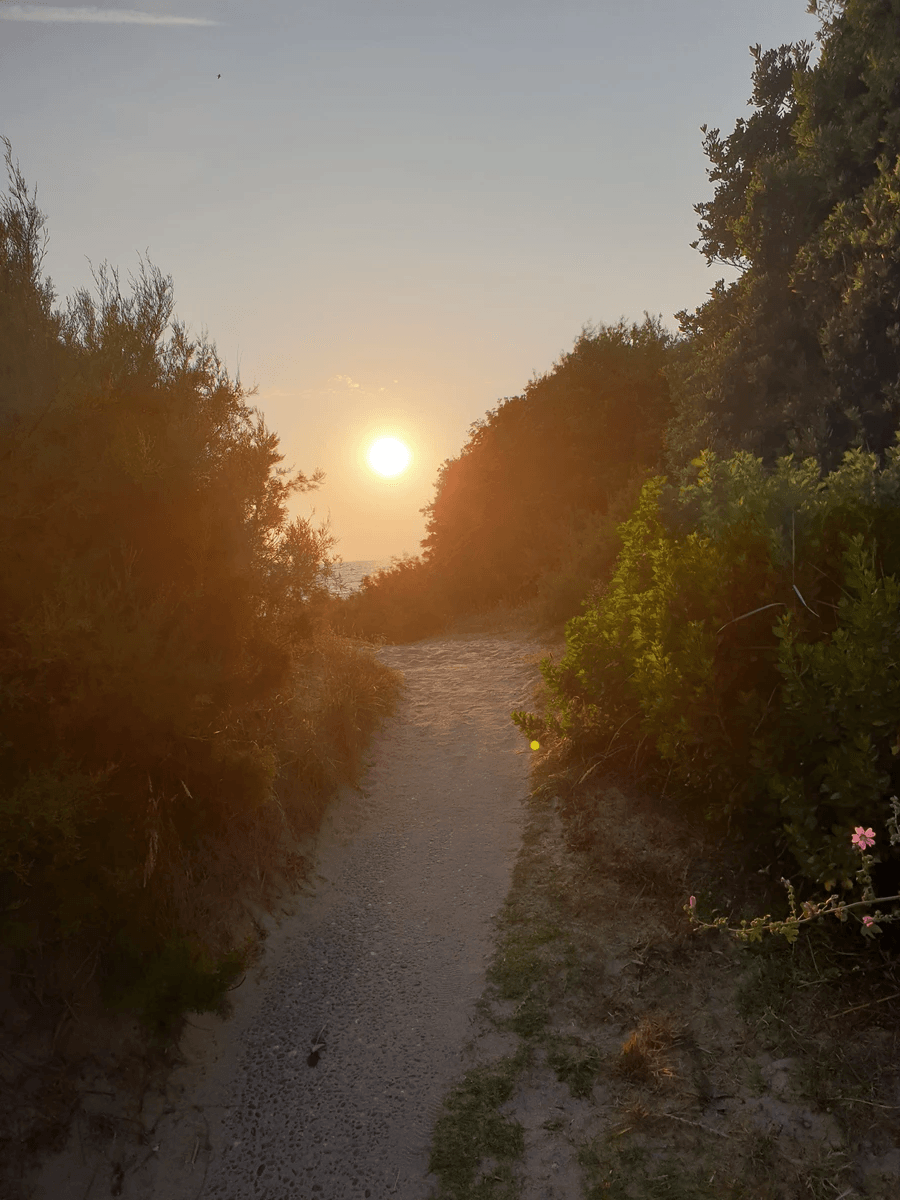 We offer tailored coaching, adapted to the specific needs of each woman, to promote a better understanding of her body. Personalized Coaching Our Commitment ONA Praxis is an expert support space, dedicated to women who wish to take control of their bodies - with awareness, precision, and respect. We offer intelligent sports and body coaching, respectful of female physiology, which develops awareness of movement, precision of movement, and long-term autonomy.