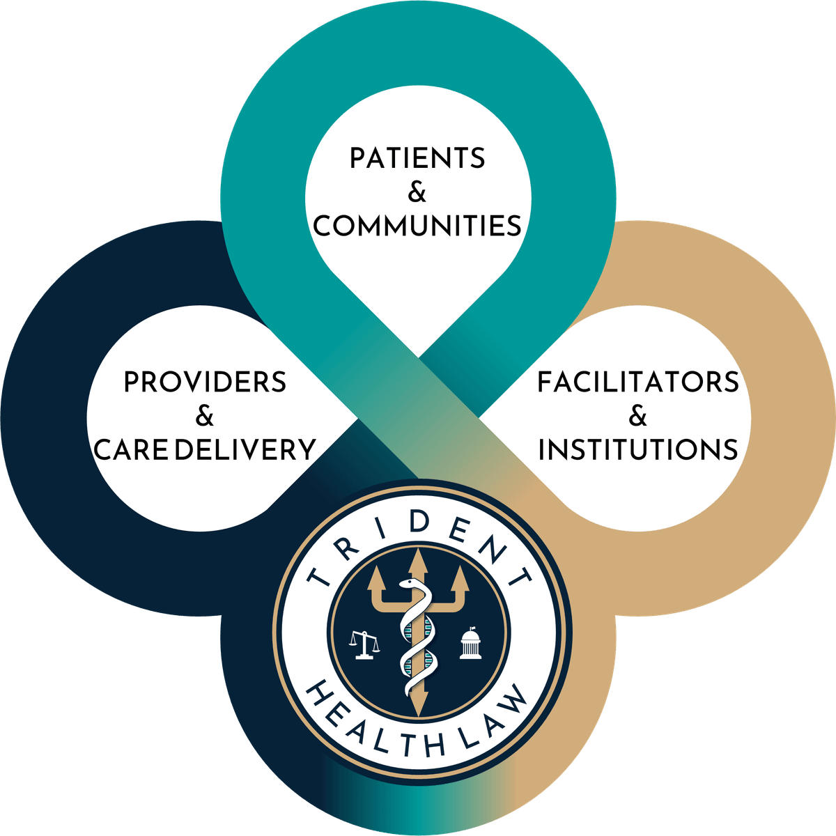 Law Firm Services Infographic