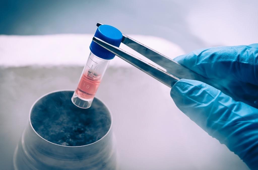 — Sato Kenichi "Thanks to CyberGene LP, I was able to receive medical care in Japan and I am very satisfied. There was professional support, and I was able to receive treatment with peace of mind." Our company specializes in providing medical services in Japan to wealthy individuals around the world. Introduction of inquiries for medical tourism that allows the wealthy around the world to receive Japanese medical care. The overall theme is white and gold.