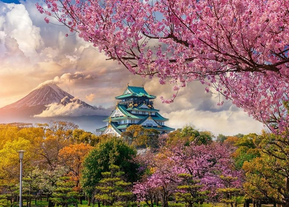 Osaka castle with Mt Fuji in the background? Fake. 