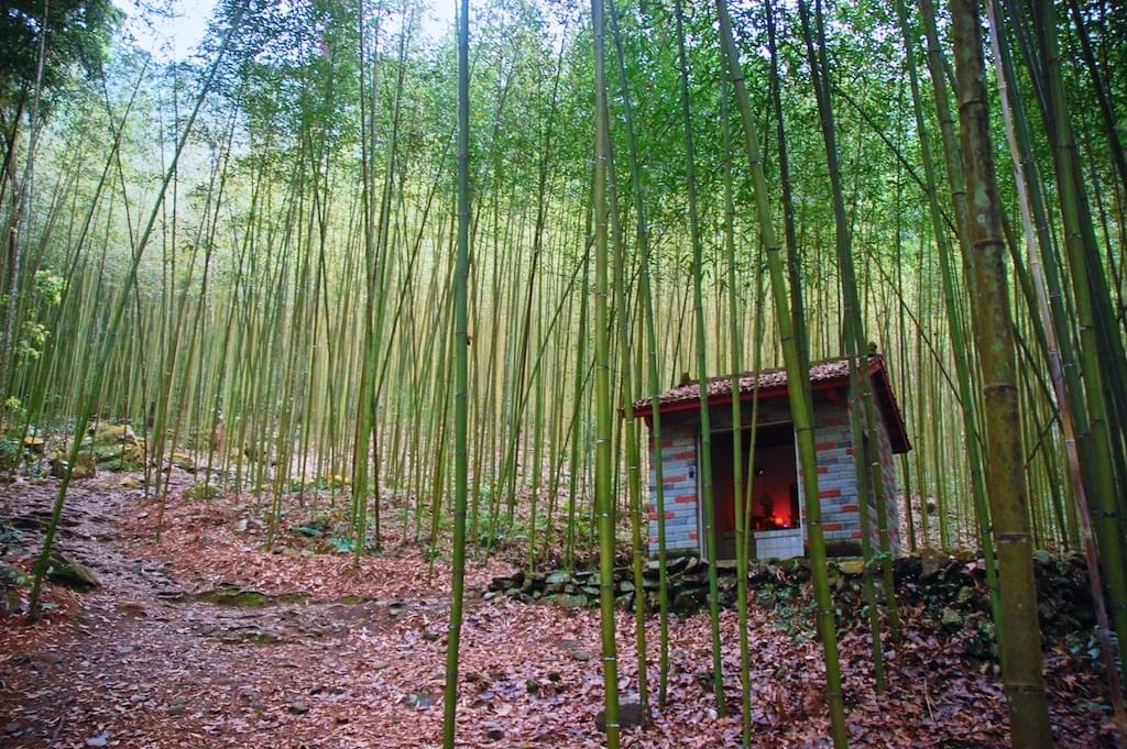 Hayatama Taisha, Kumano