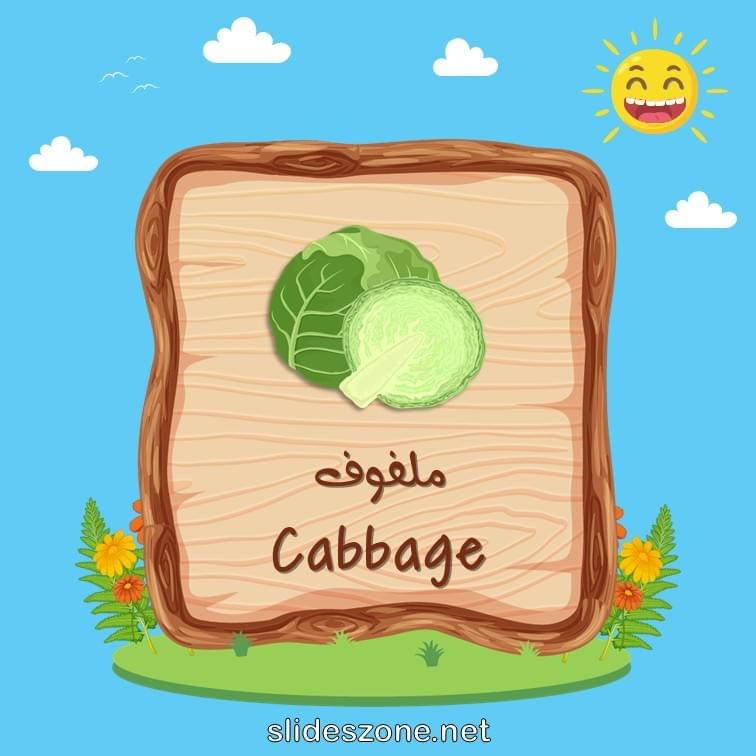 صورة تعليمية فلاش