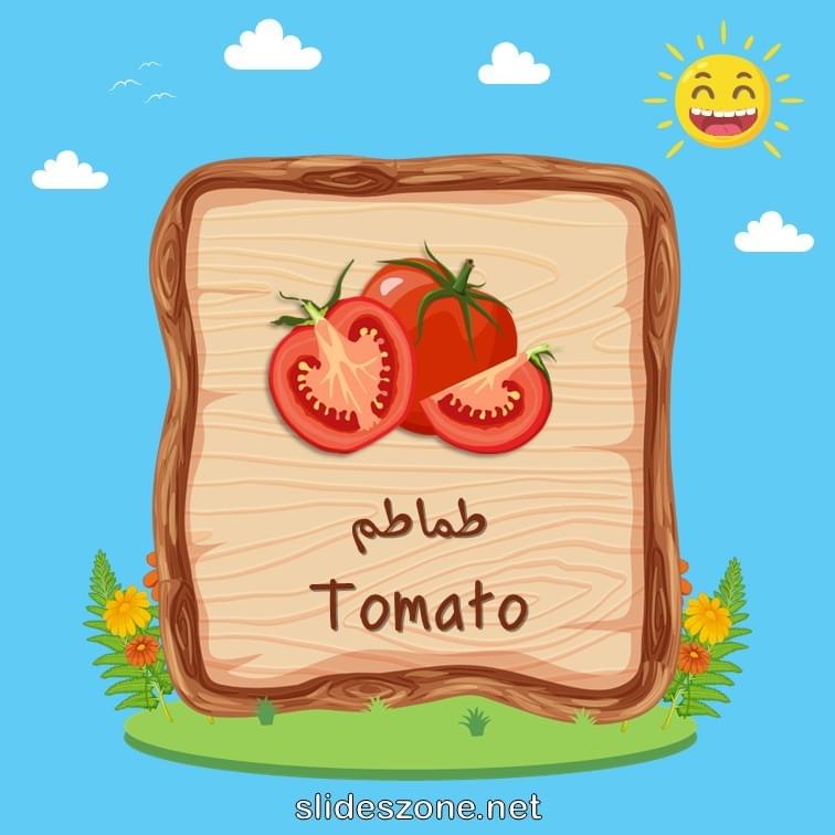 صورة تعليمية فلاش