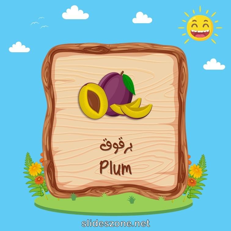 صورة تعليمية فلاش