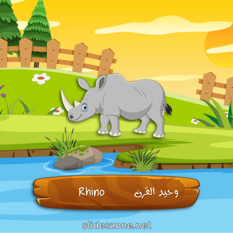 صورة تعليمية فلاش