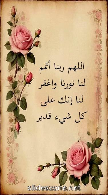 صورة للمشاركة