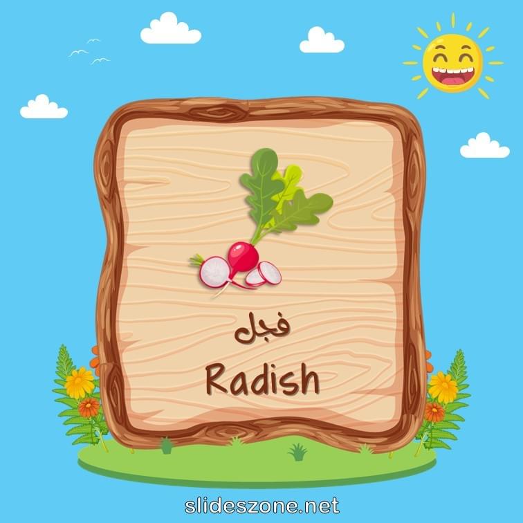 صورة تعليمية فلاش