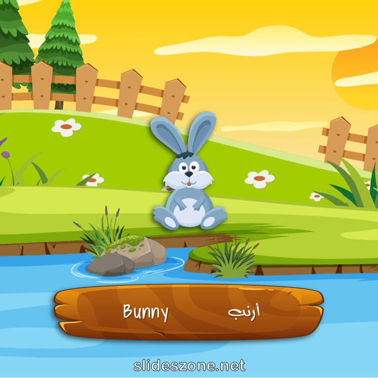 صورة تعليمية فلاش