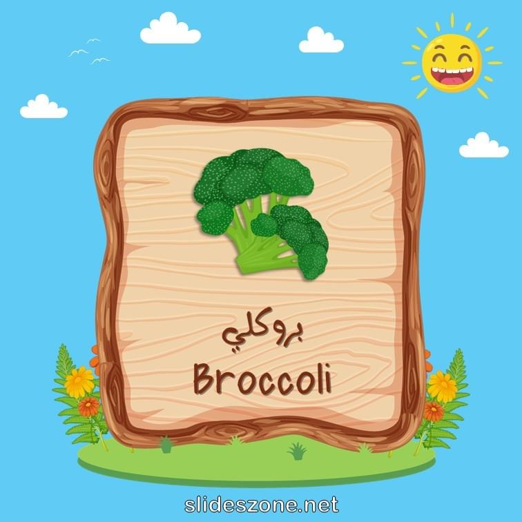 صورة تعليمية فلاش