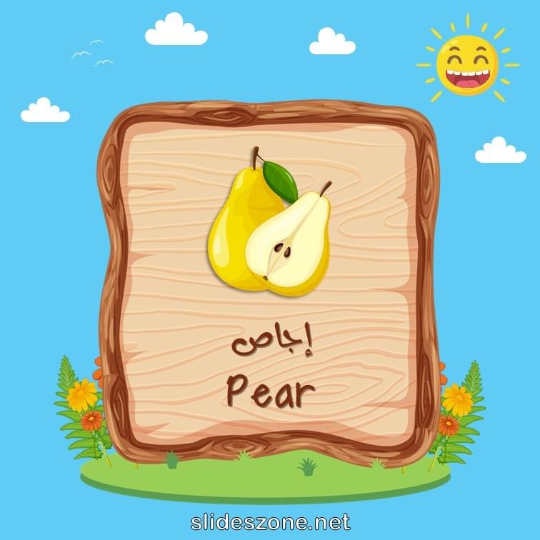 صورة تعليمية فلاش