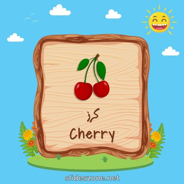 صورة تعليمية فلاش