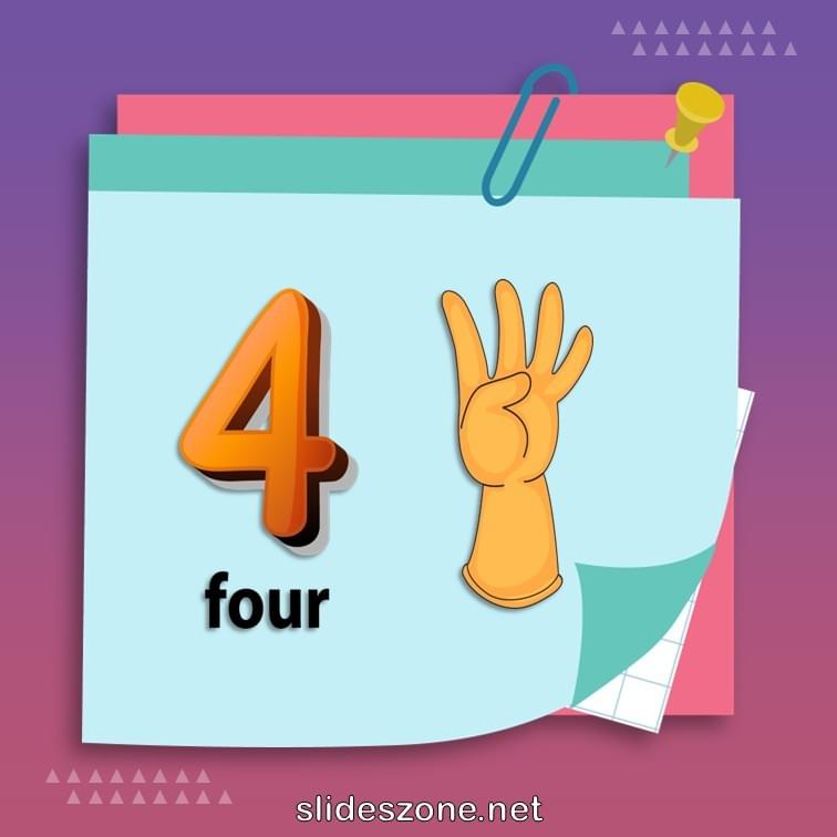 صورة تعليمية فلاش