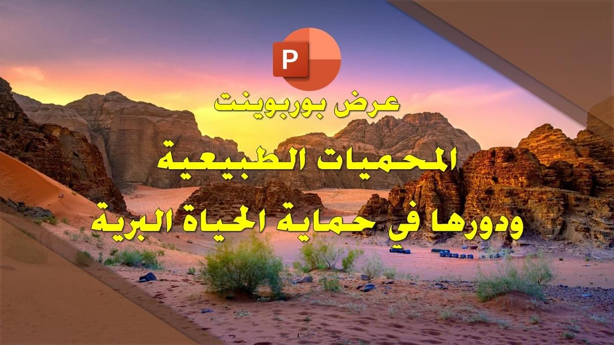 صورة من العرض