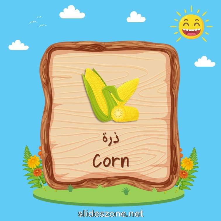 صورة تعليمية فلاش