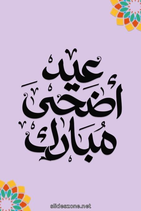 صورة للمشاركة