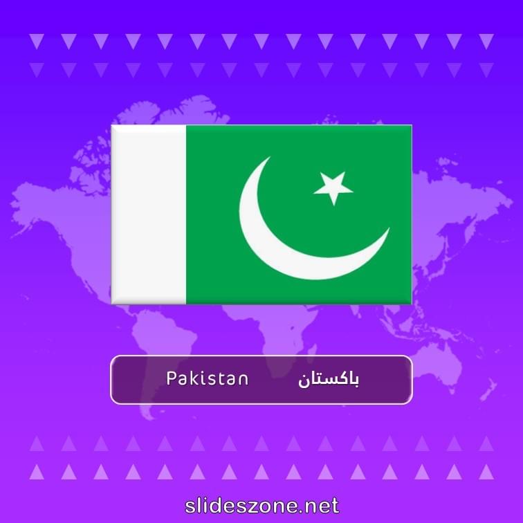 صورة تعليمية فلاش