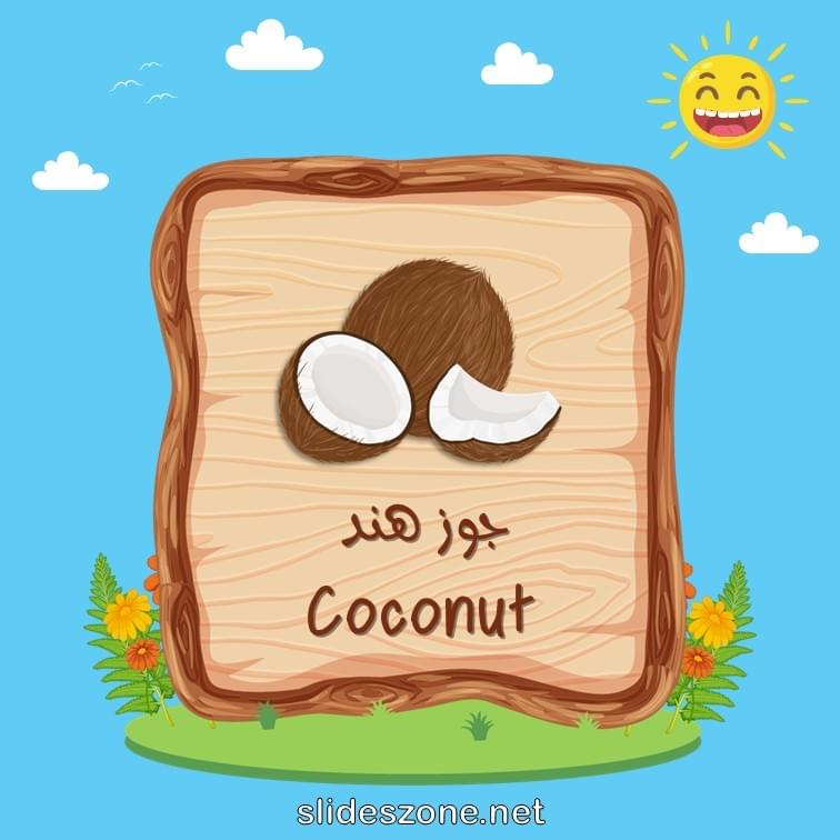 صورة تعليمية فلاش