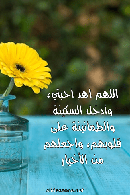 صورة للمشاركة