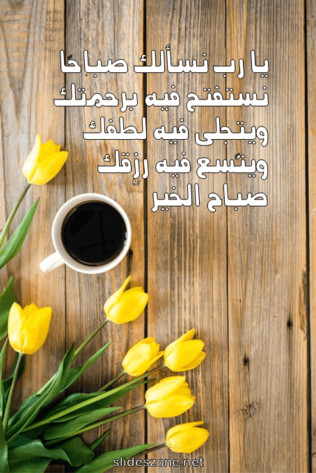 صورة للمشاركة