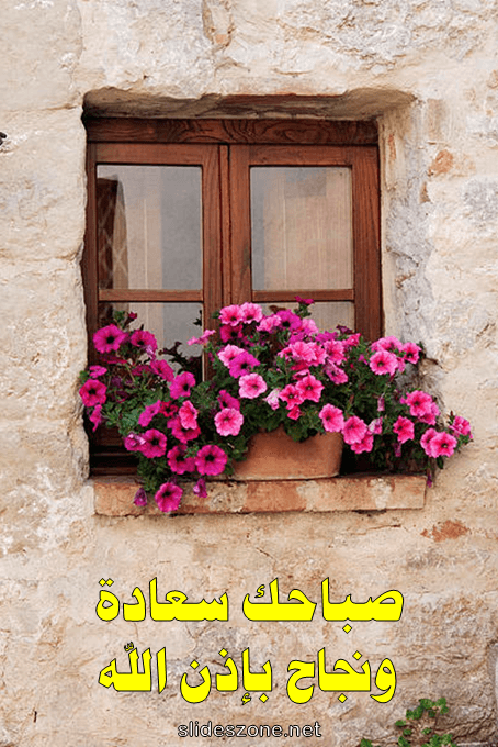 صورة للمشاركة