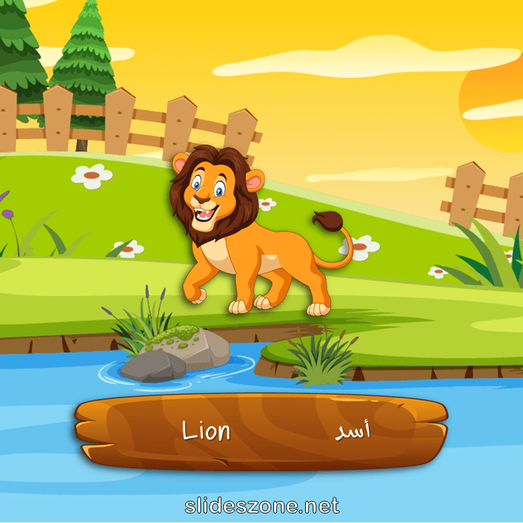 صورة تعليمية فلاش