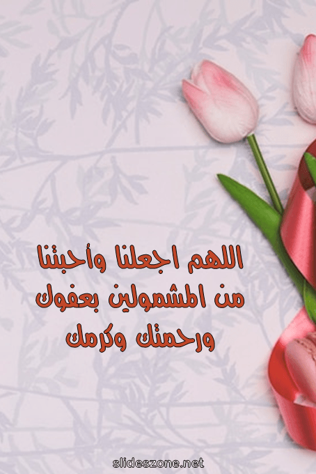 صورة للمشاركة