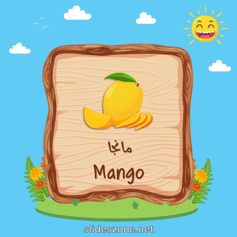 صورة تعليمية فلاش