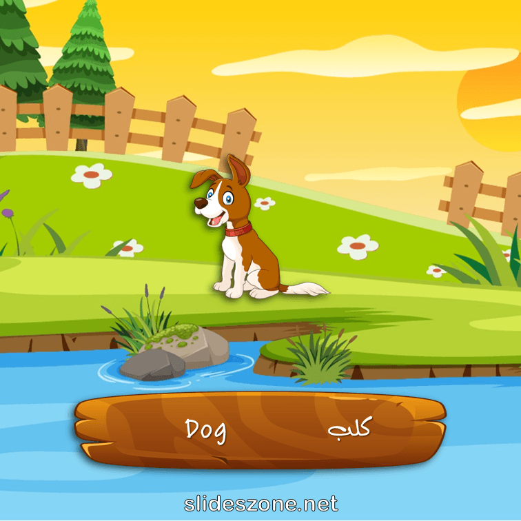 صورة تعليمية فلاش