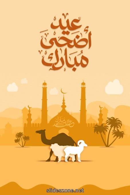 صورة للمشاركة