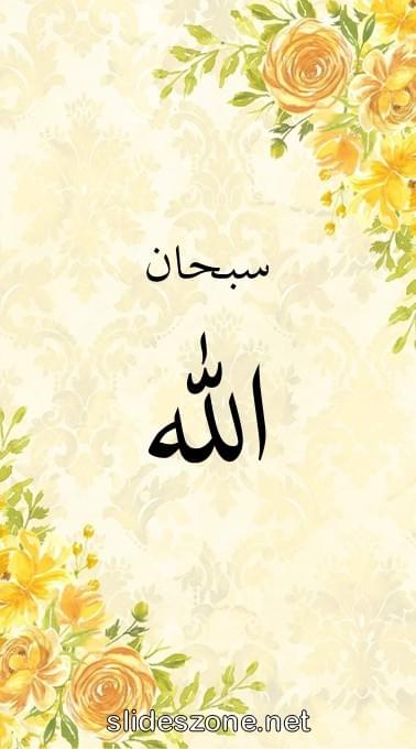 صورة للمشاركة