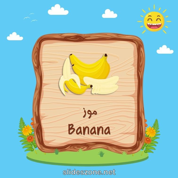 صورة تعليمية فلاش