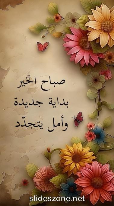 صورة للمشاركة