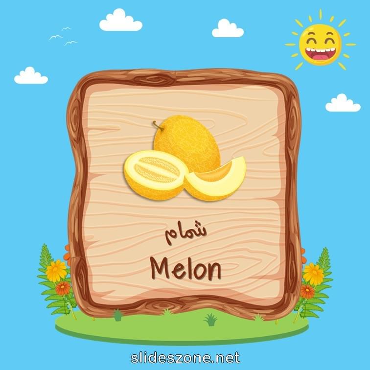 صورة تعليمية فلاش