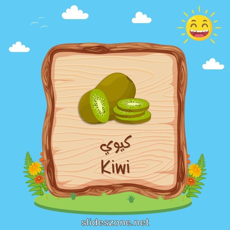 صورة تعليمية فلاش