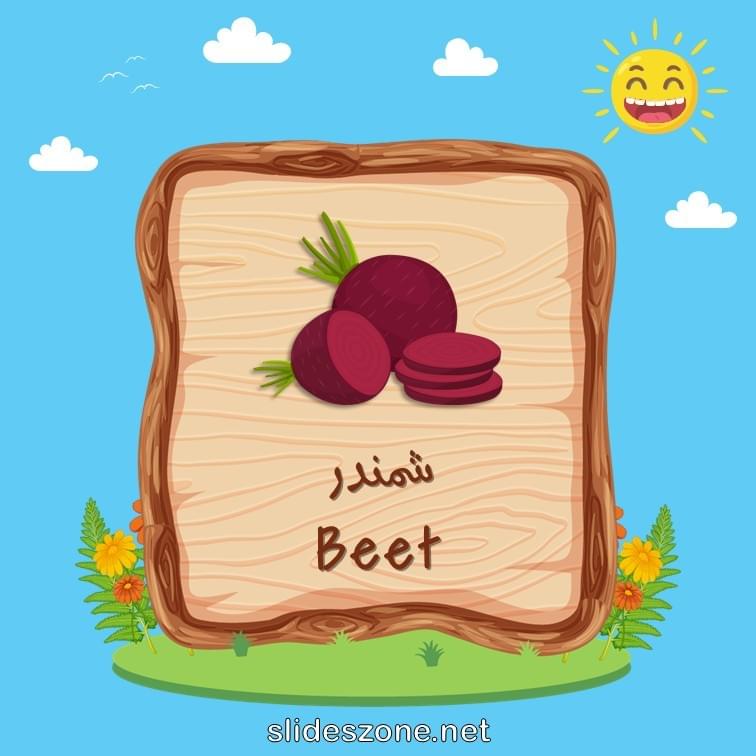 صورة تعليمية فلاش