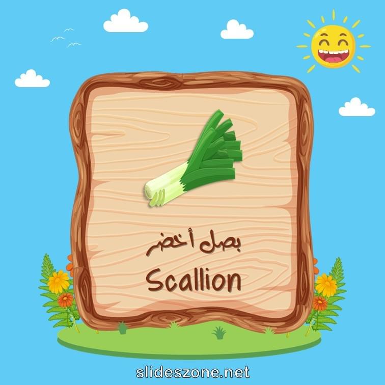 صورة تعليمية فلاش