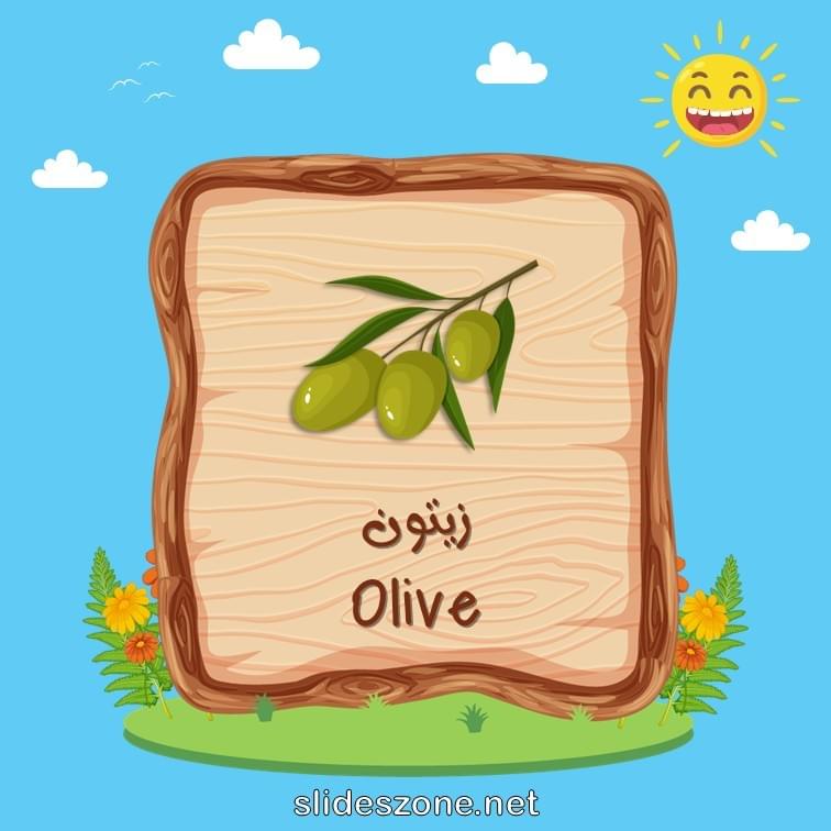 صورة تعليمية فلاش