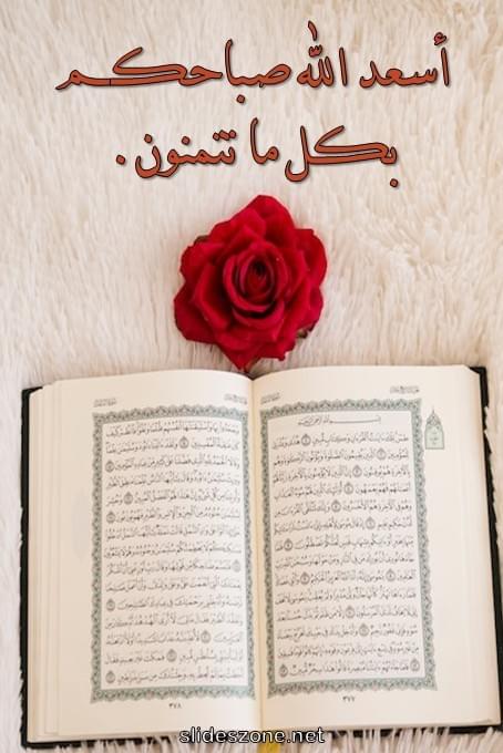 صورة للمشاركة